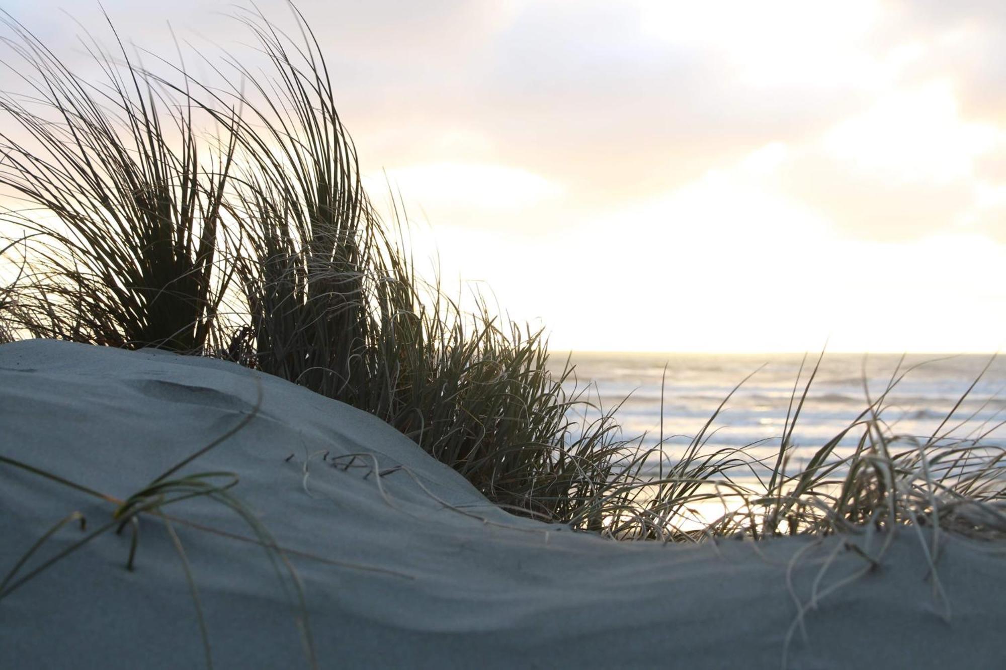 Foxton Beach Holiday Park Bagian luar foto
